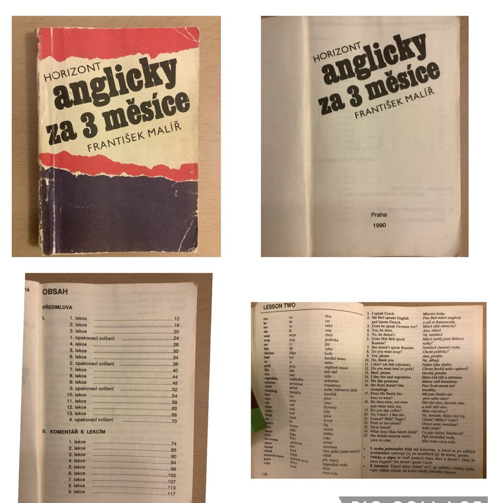 Болгарско-чешский, польско-чешский словари, чешско-английский разговор