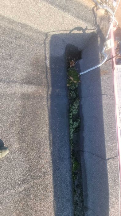 Czyszczenie rynien Sosnowiec, Katowice, Zabrze, Gliwice. Doczyszczona