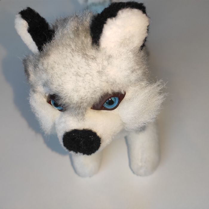 Pies husky maskotka