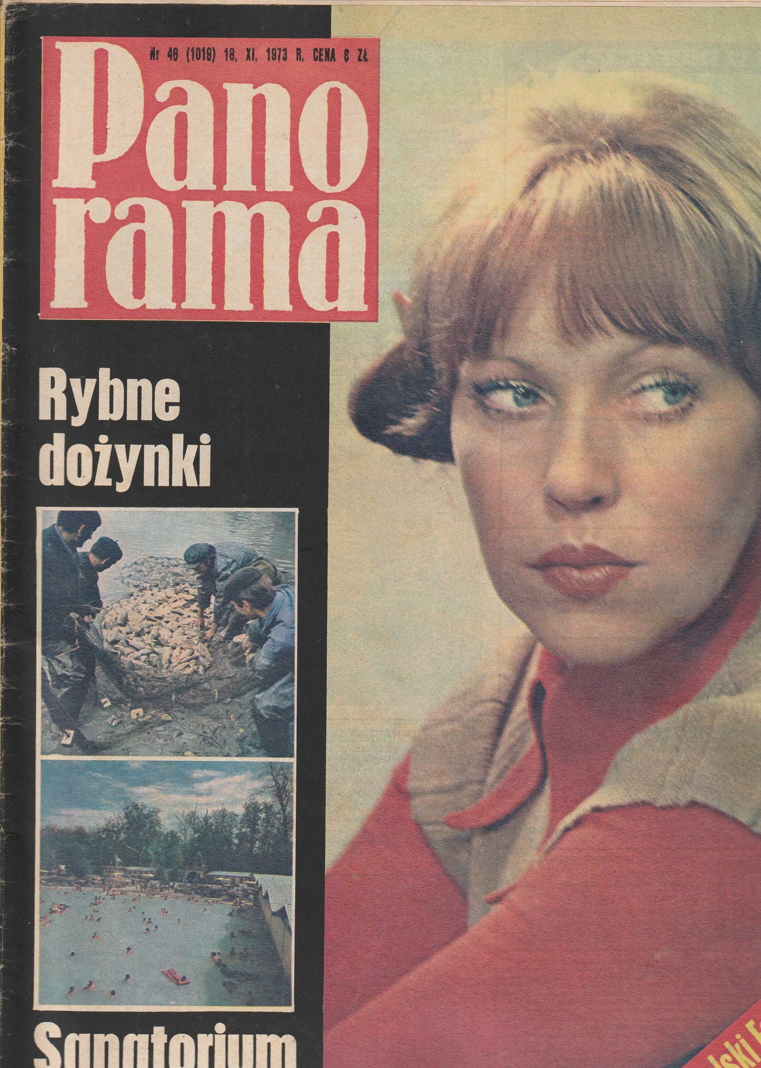 Panorama 18.11.1973 nr 46.