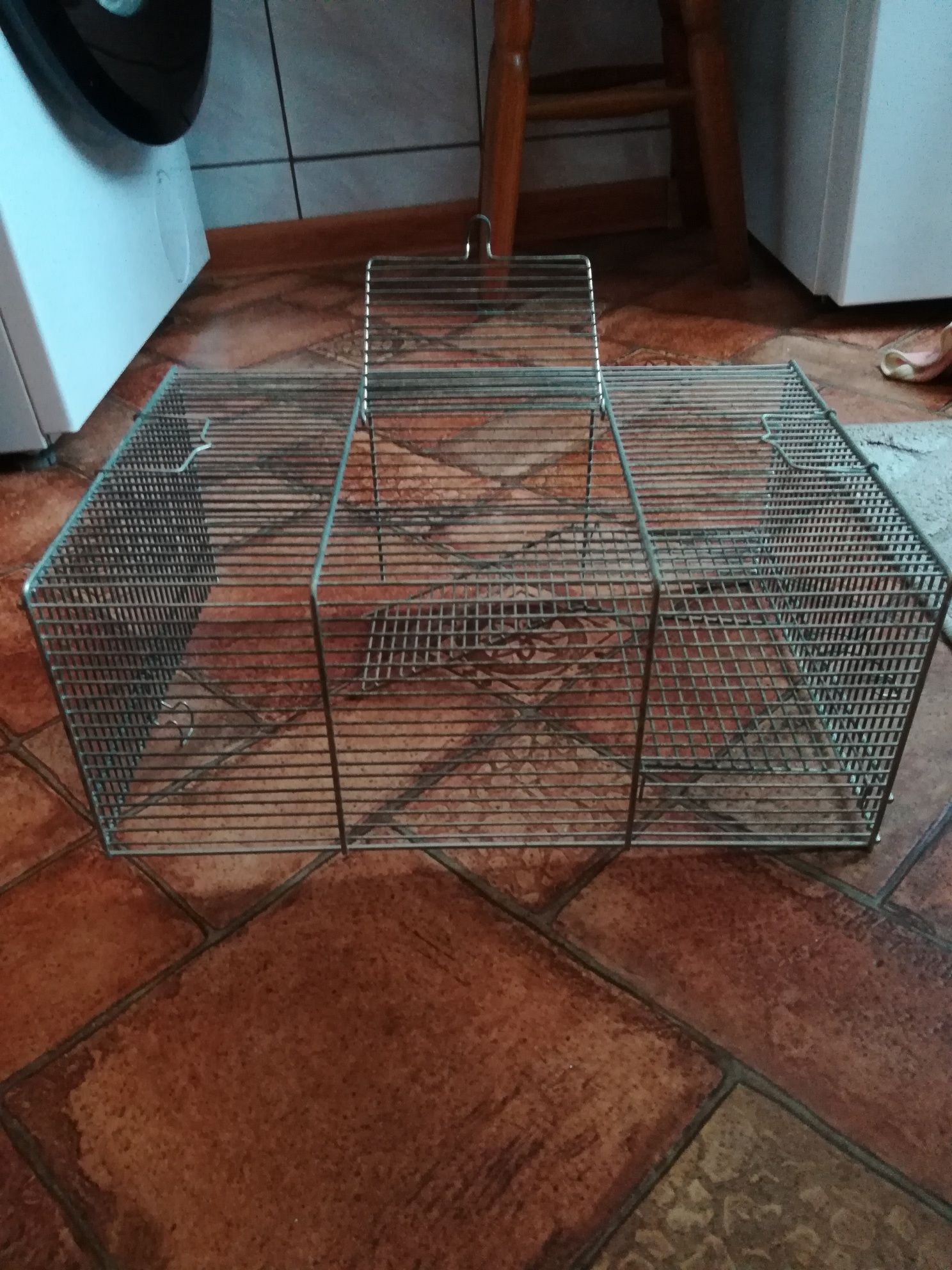 Góra klatki dla chomika