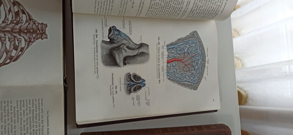 Lehrbuch und atlas ANATOMIA 1940- 1943r