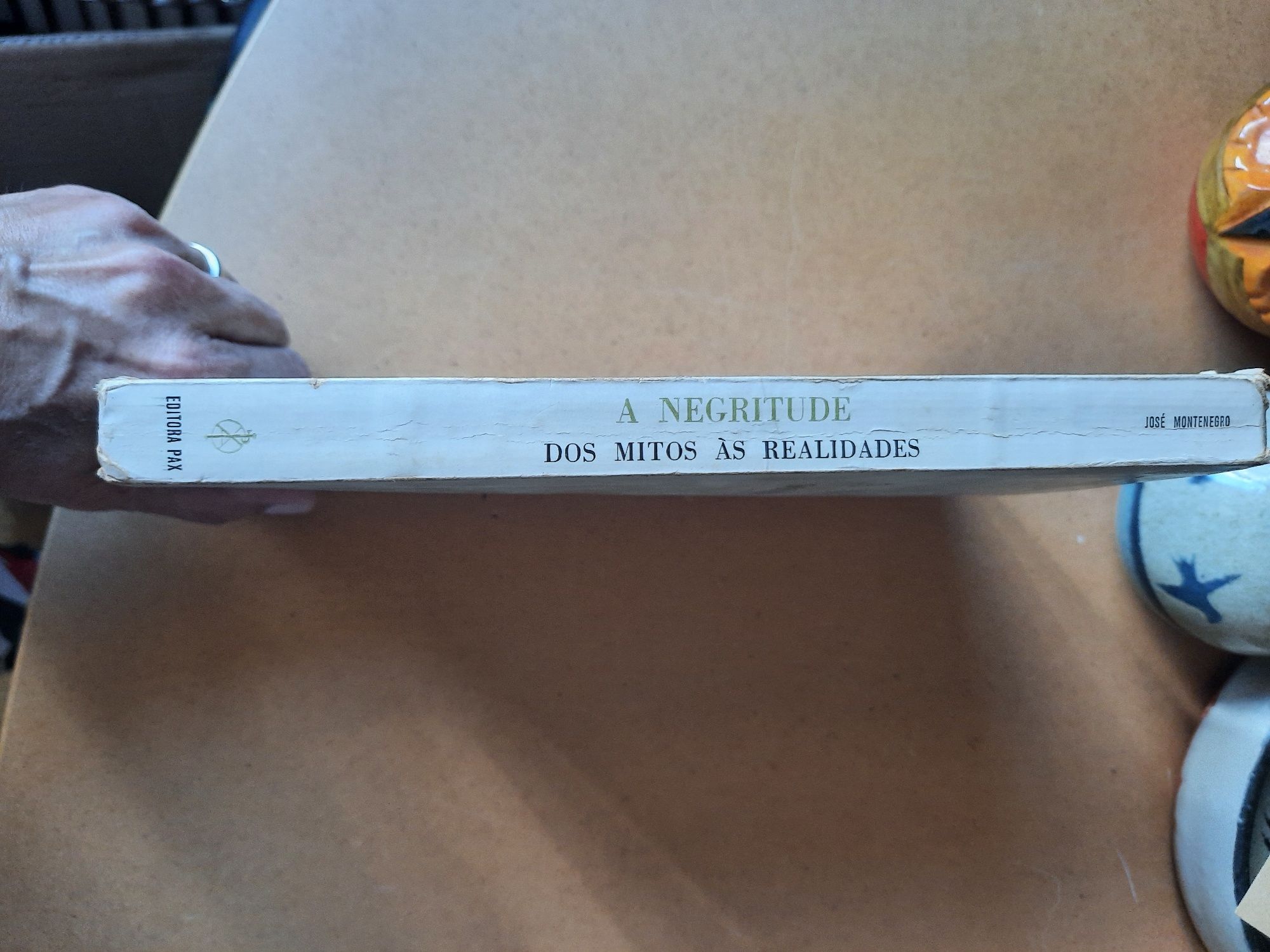A negritude dos mitos às realidades José Montenegro
