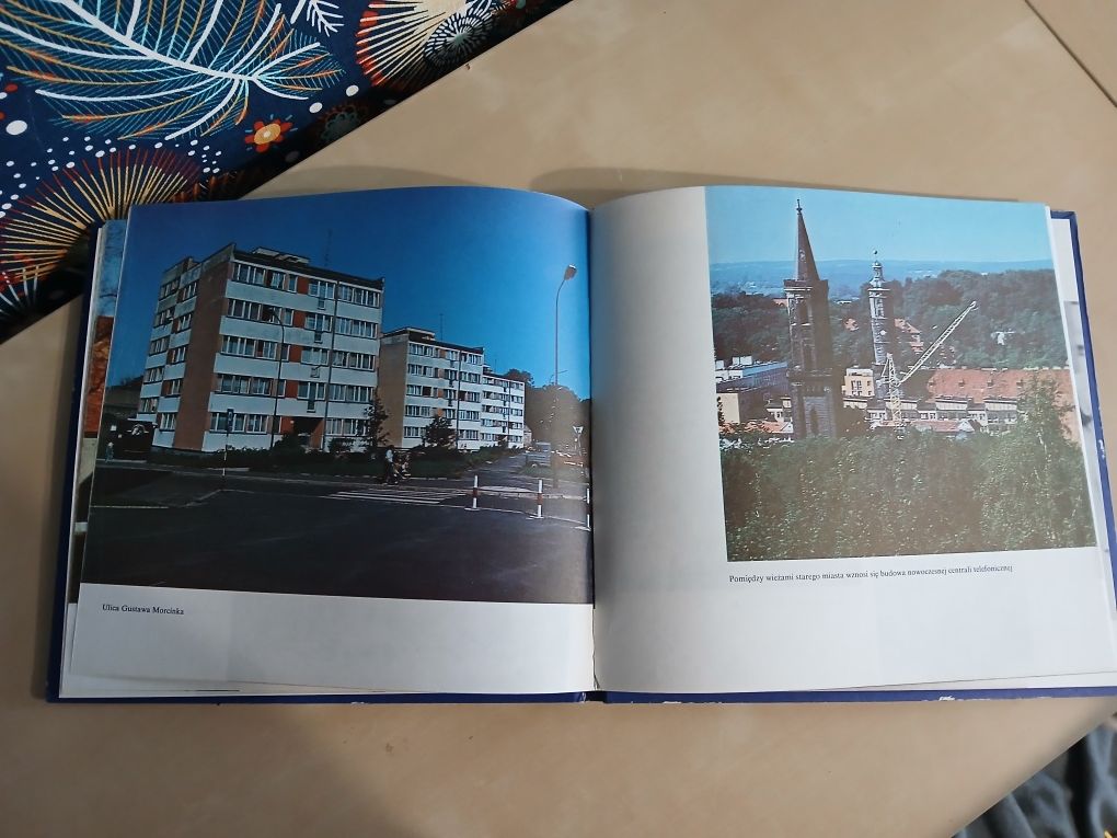 Lwówek Śląski książka Towarzystwo Miłośników Lwówka Śląskiego 1990