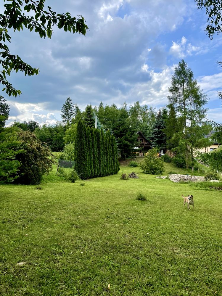 Drewniany dom z basenem i ogrodzonym ogrodem na wyłączność