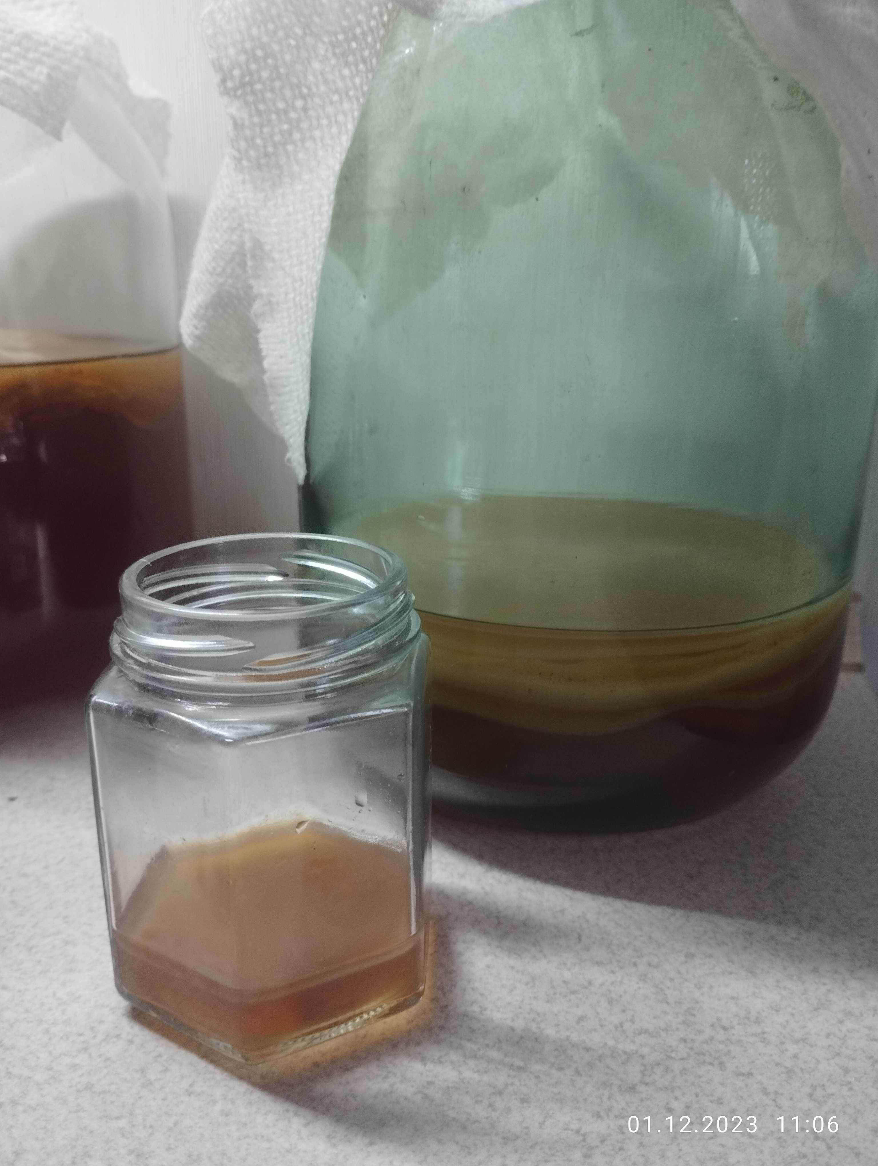 Чайний гриб , kombucha