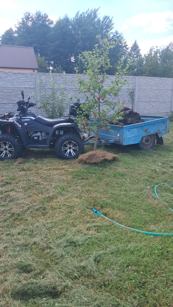 Квадроцикл Linhai LH500-D, 2018р.1480км.