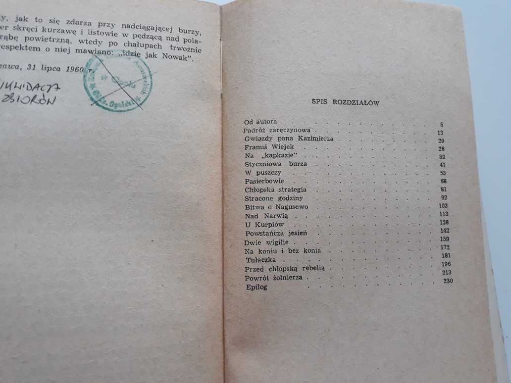Ziemia i gwiazdy – Stanisław Strumph Wojtkiewicz.