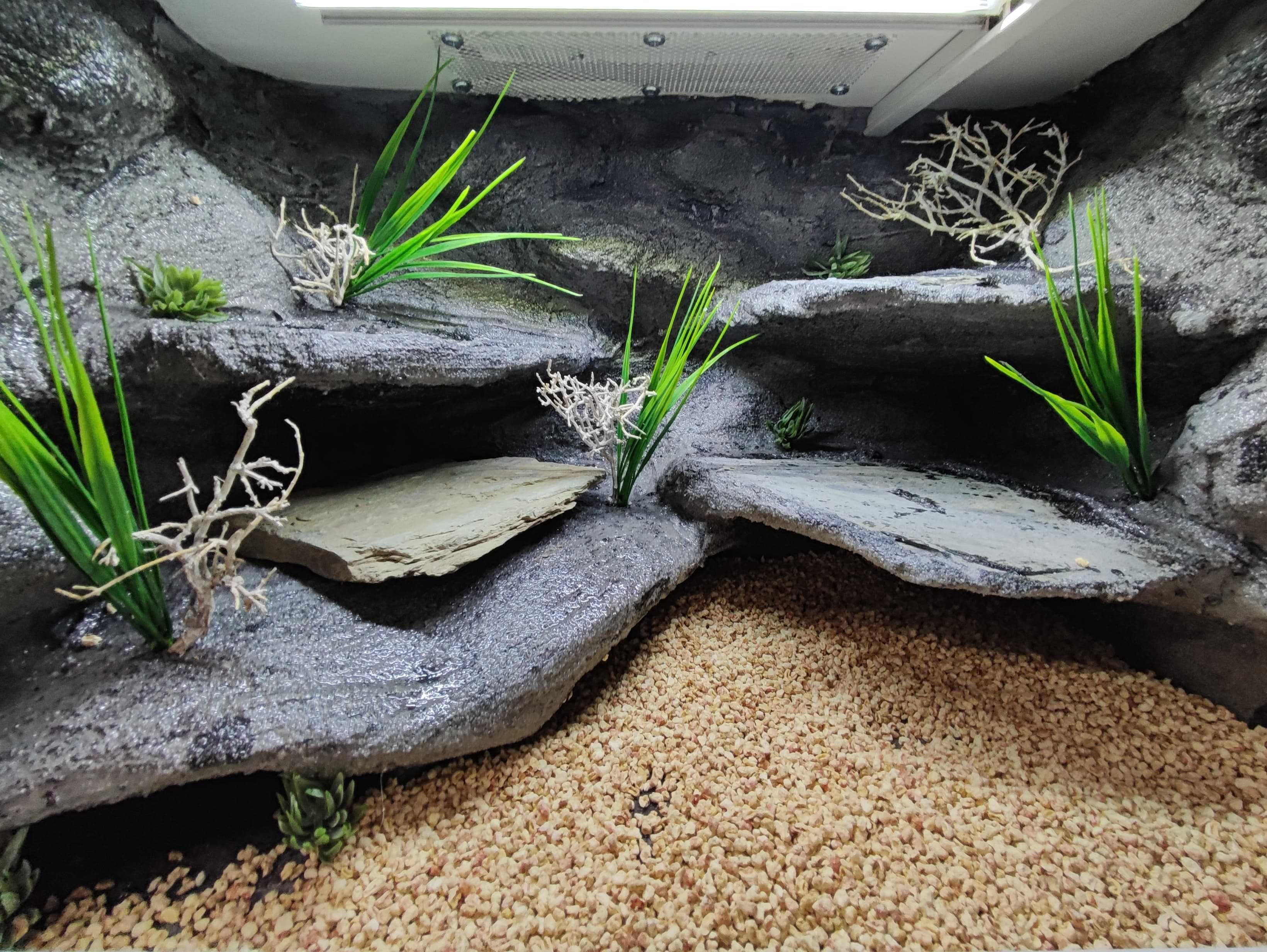 Terrarium pustynne nr751 60/40/40 dla gekona lamparciego DOSTĘPNE