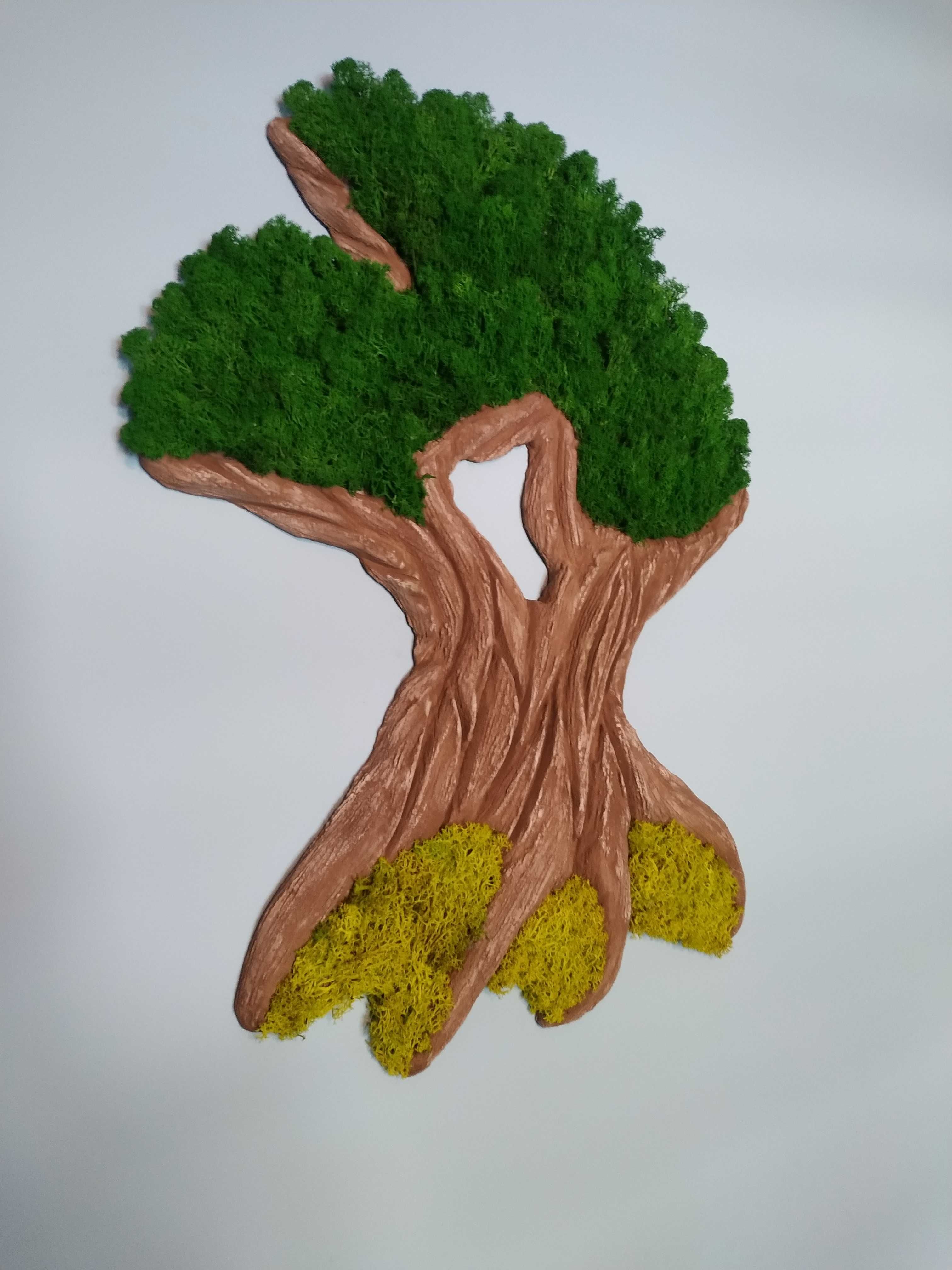 Drzewko bonsai na ścianę