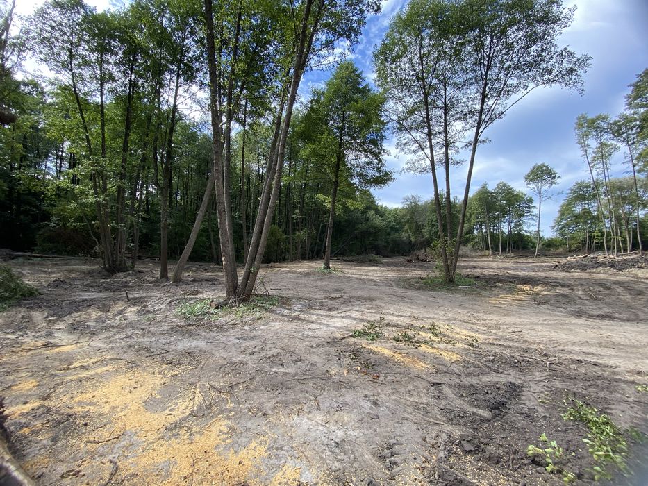 Знижка діє до 30 вересня! Продаж ділянок в с. Рославичі по 7,6 соток!