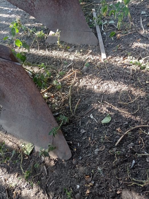 Продам плуг 3 корпусний