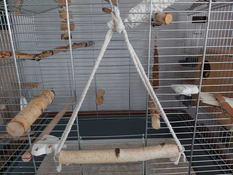 Huśtawka brzozowa dla papugi 22 cm