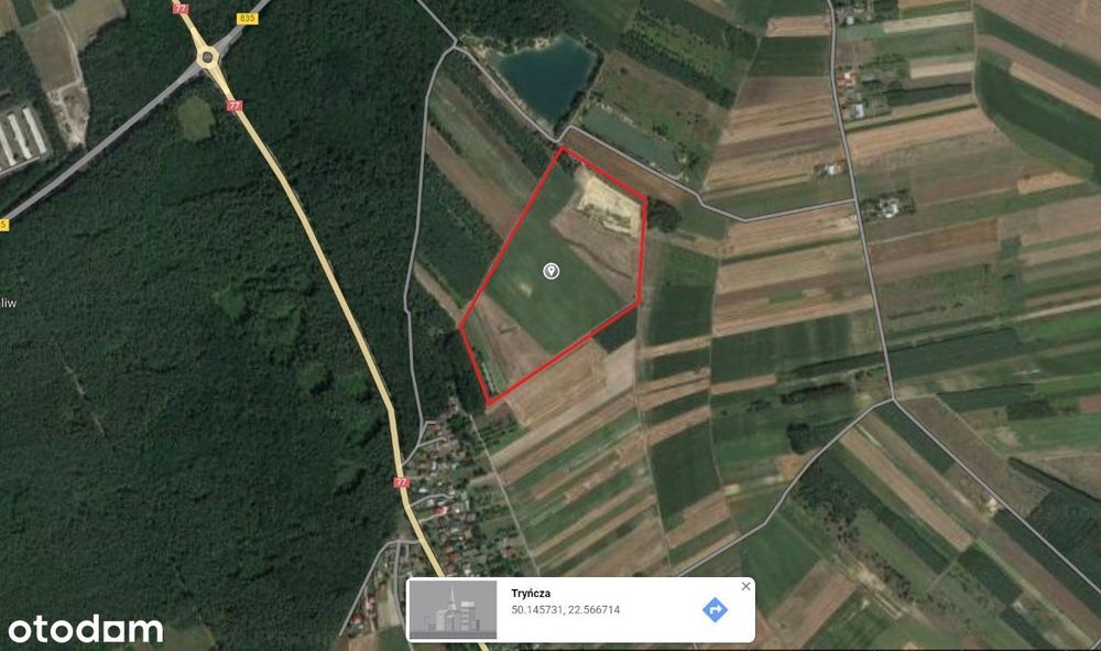 Kopalnia piasku - koncesja - 10ha