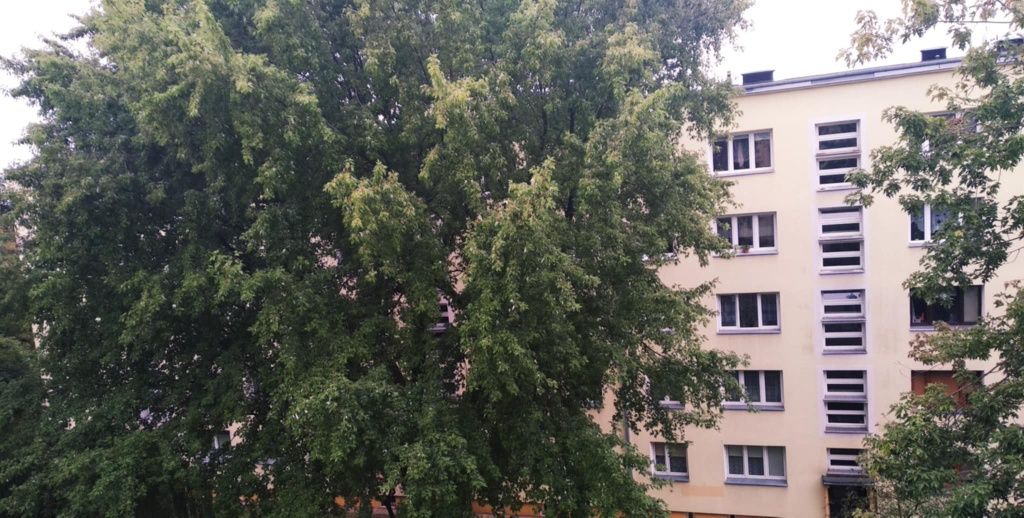 Do wynajęcia mieszkanie ul.Konstytucyjna DLA STUDENTEK