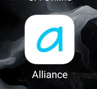 Консультация по приложению alliance