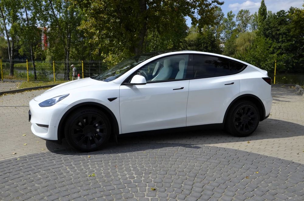 Tesla Y Piękna biała z białą tapicerką