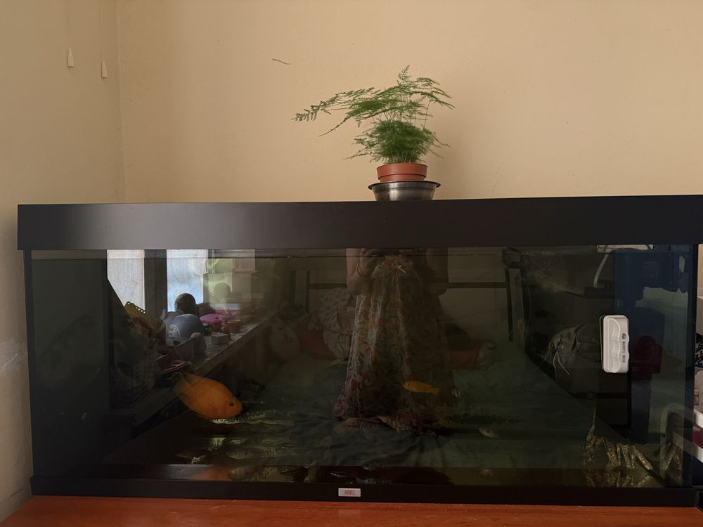 Sprzedam akwarium marki JUWEL 120cm z rybkami