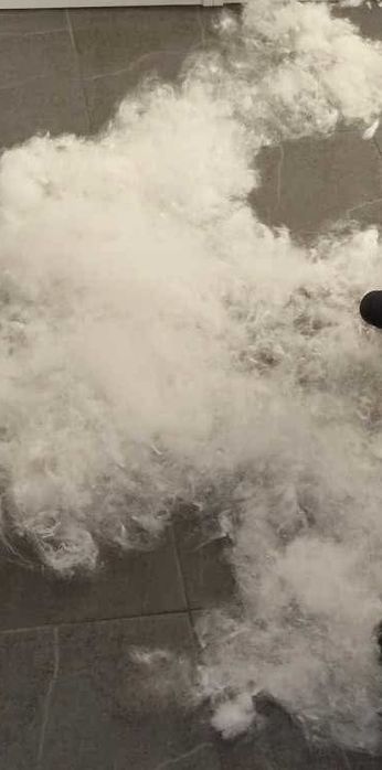 Sierść i podszerstek na KUNY