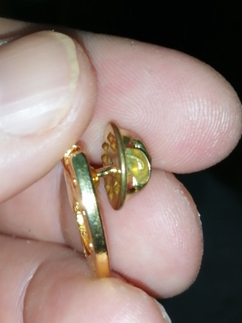 Pin de Ferradura e cabeça de cavalo
