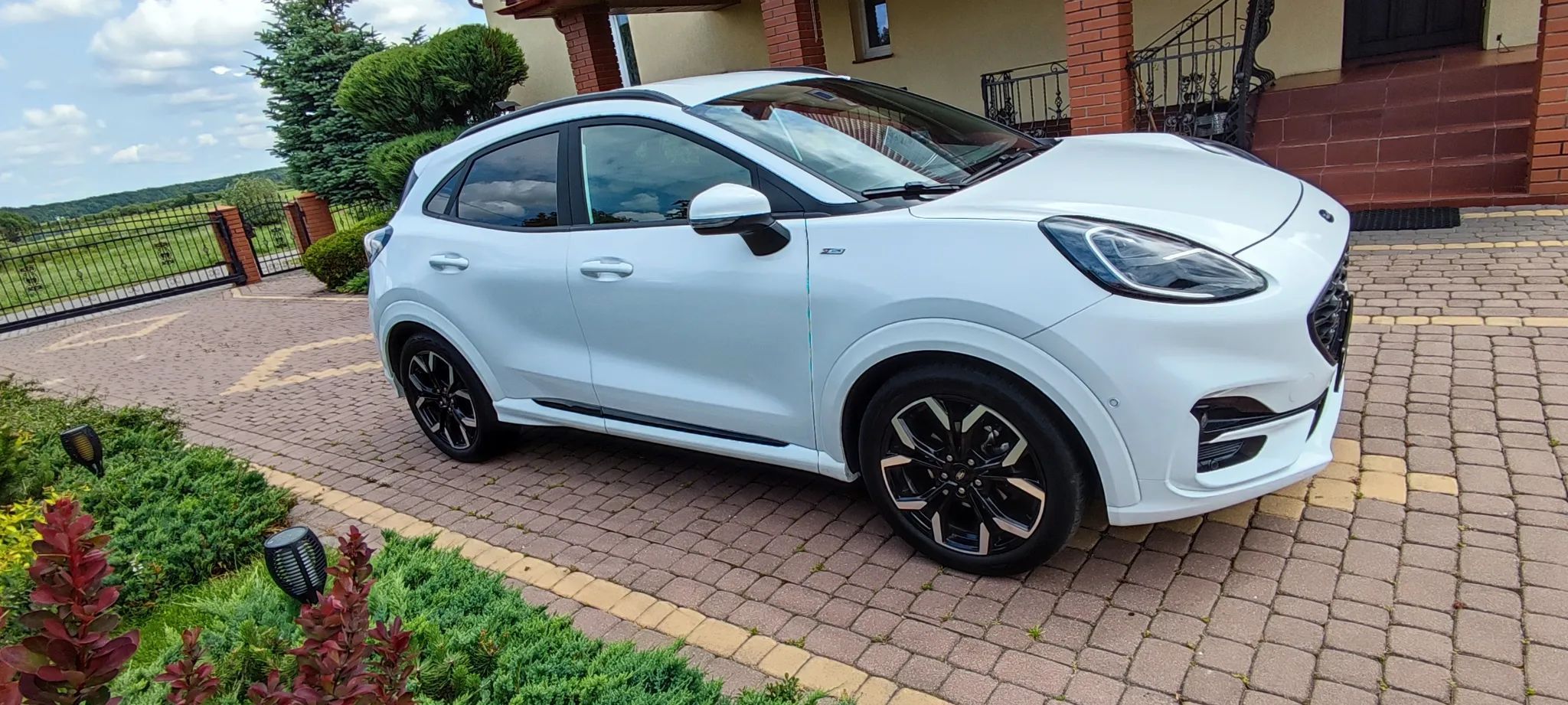 Ford Puma Puma STline X 155KM automat
