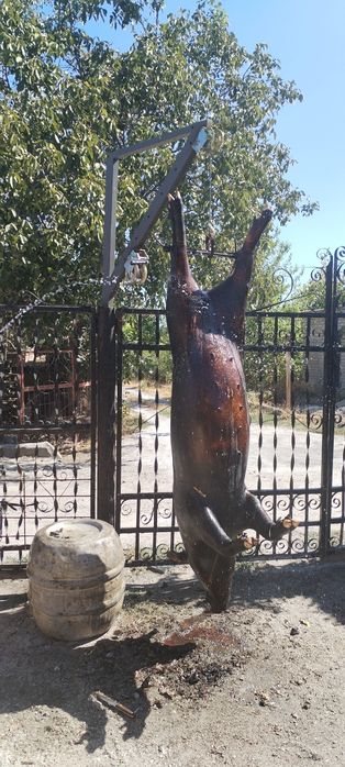 Свинина домашня , замовлення на 06.12