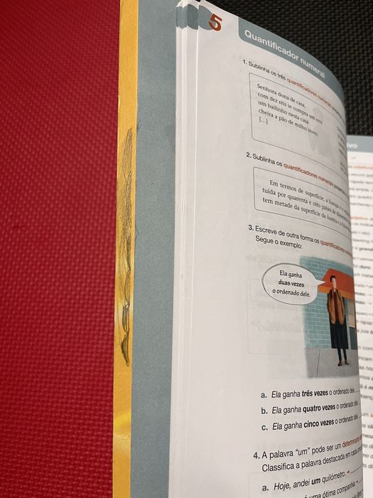 Livro actividades Português 7 ano