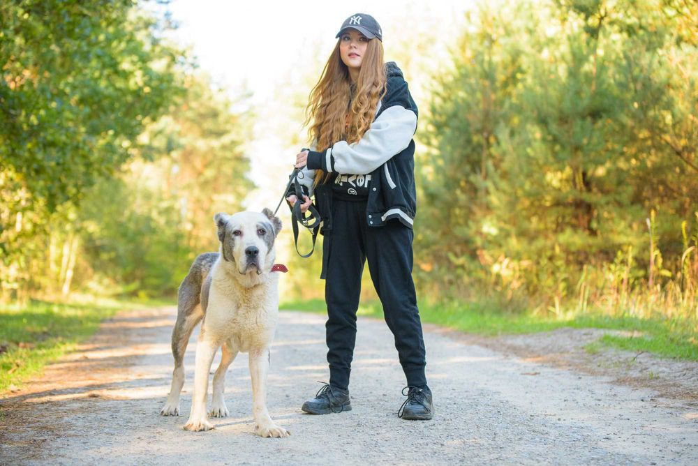 ZARA - duża smutna sunia w typie owczarka środkowoazjatyckiego