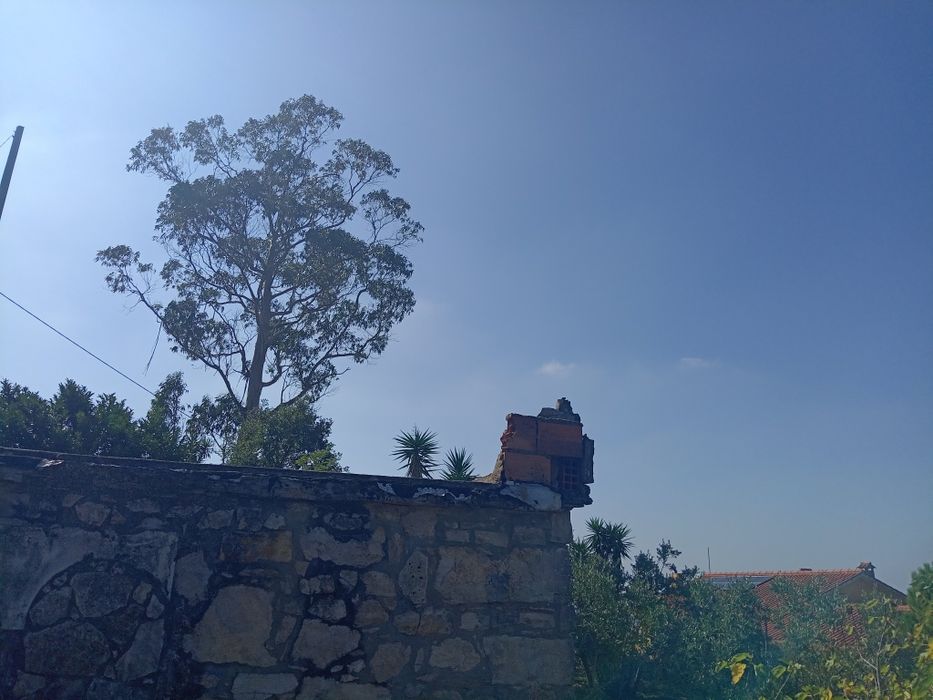 T0 em terreno construtivel 900m2