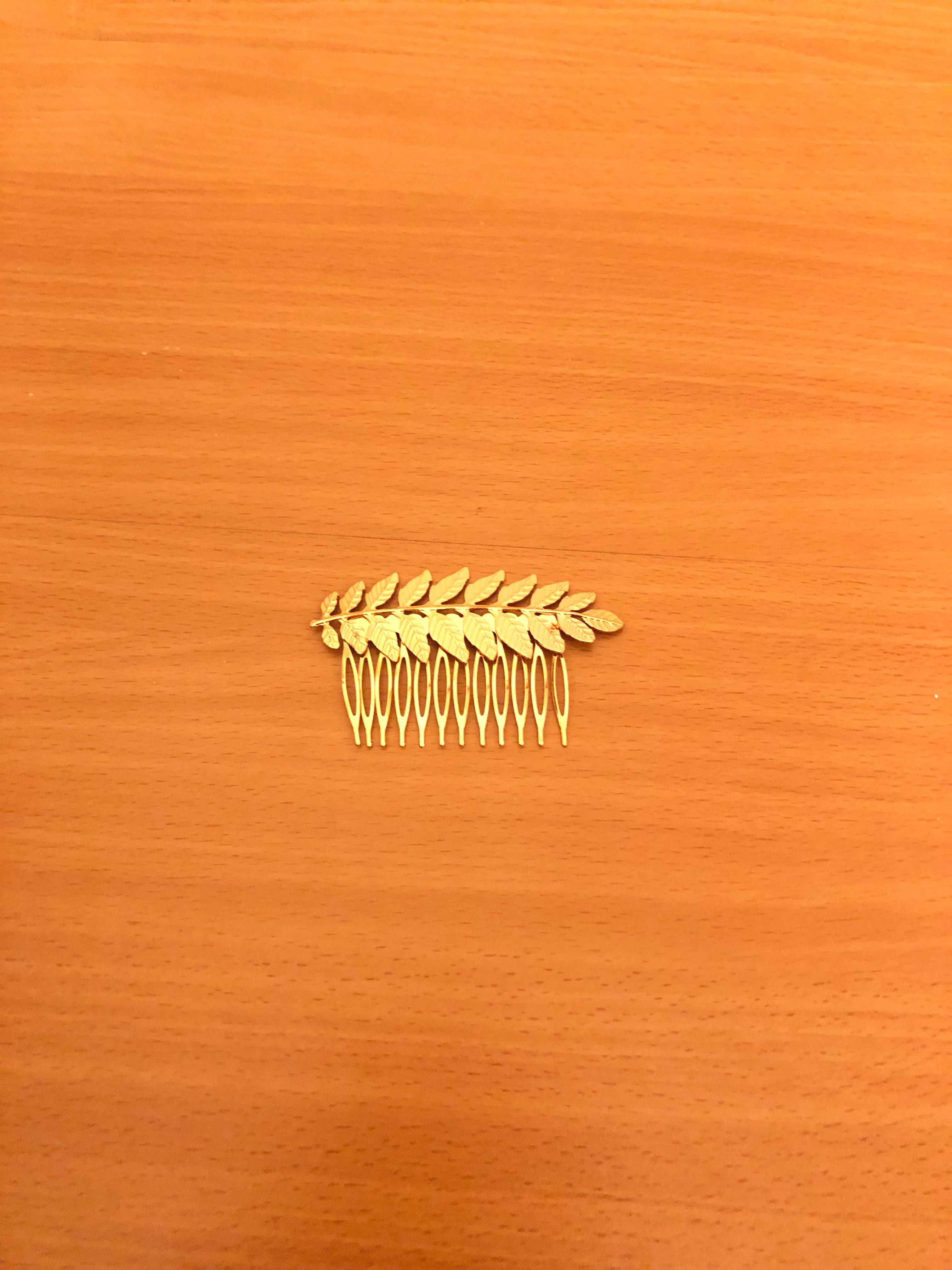 Gancho para cabelo
