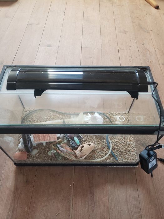 Aquario, Aquecedor Submersível ,iluminaçâo, decoração