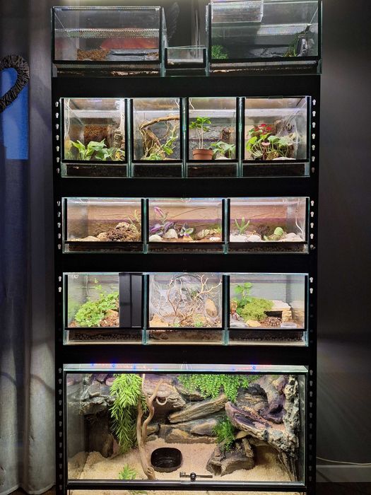 Terrarium szklane dla pająków, gadów / podana cena za 1szt