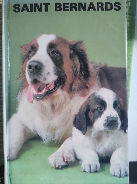 Bernardyny bernardyn, Saint bernards - książka ilustrowana, kolekcja