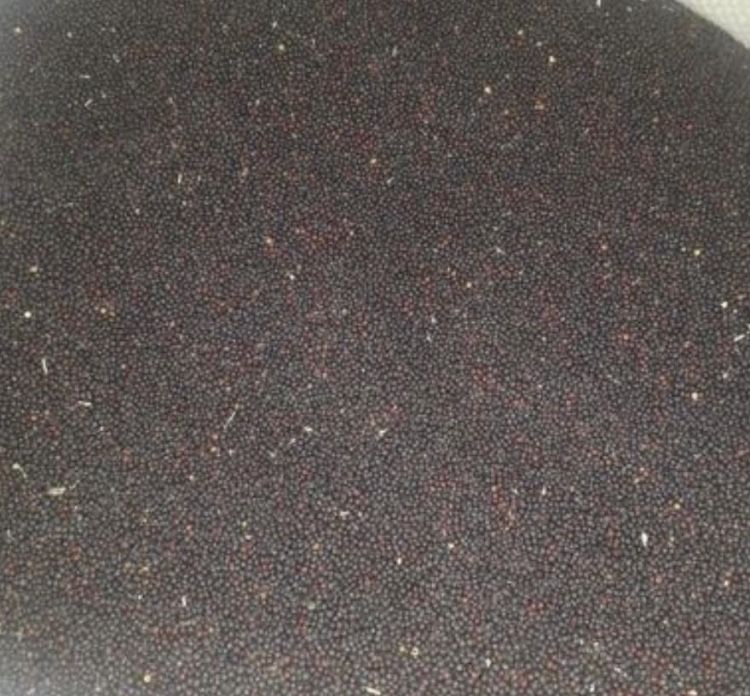 Переробка олійних культур