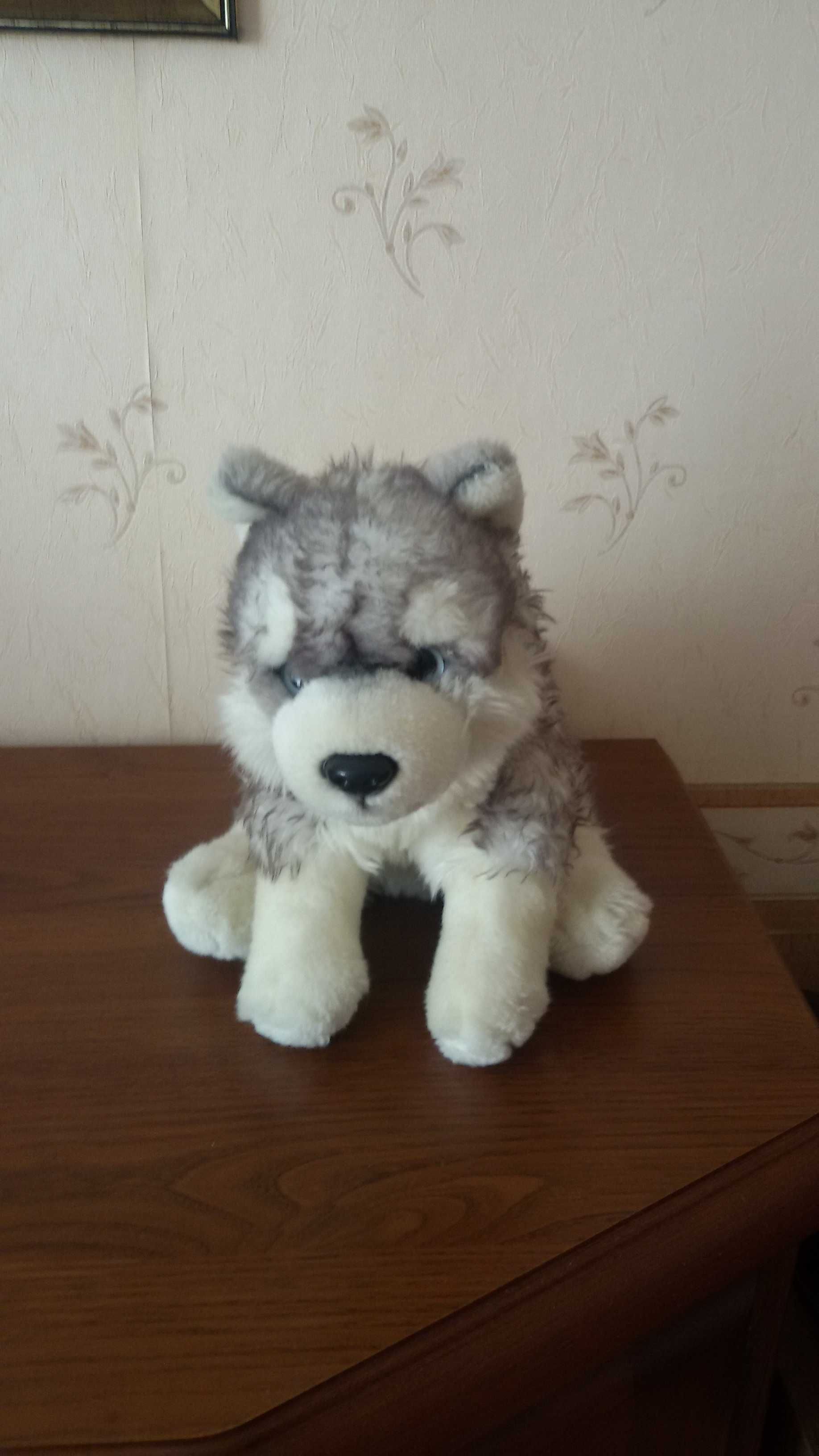 Maskotka Pies Husky 25 cm, firma Uni-Toys, nowa