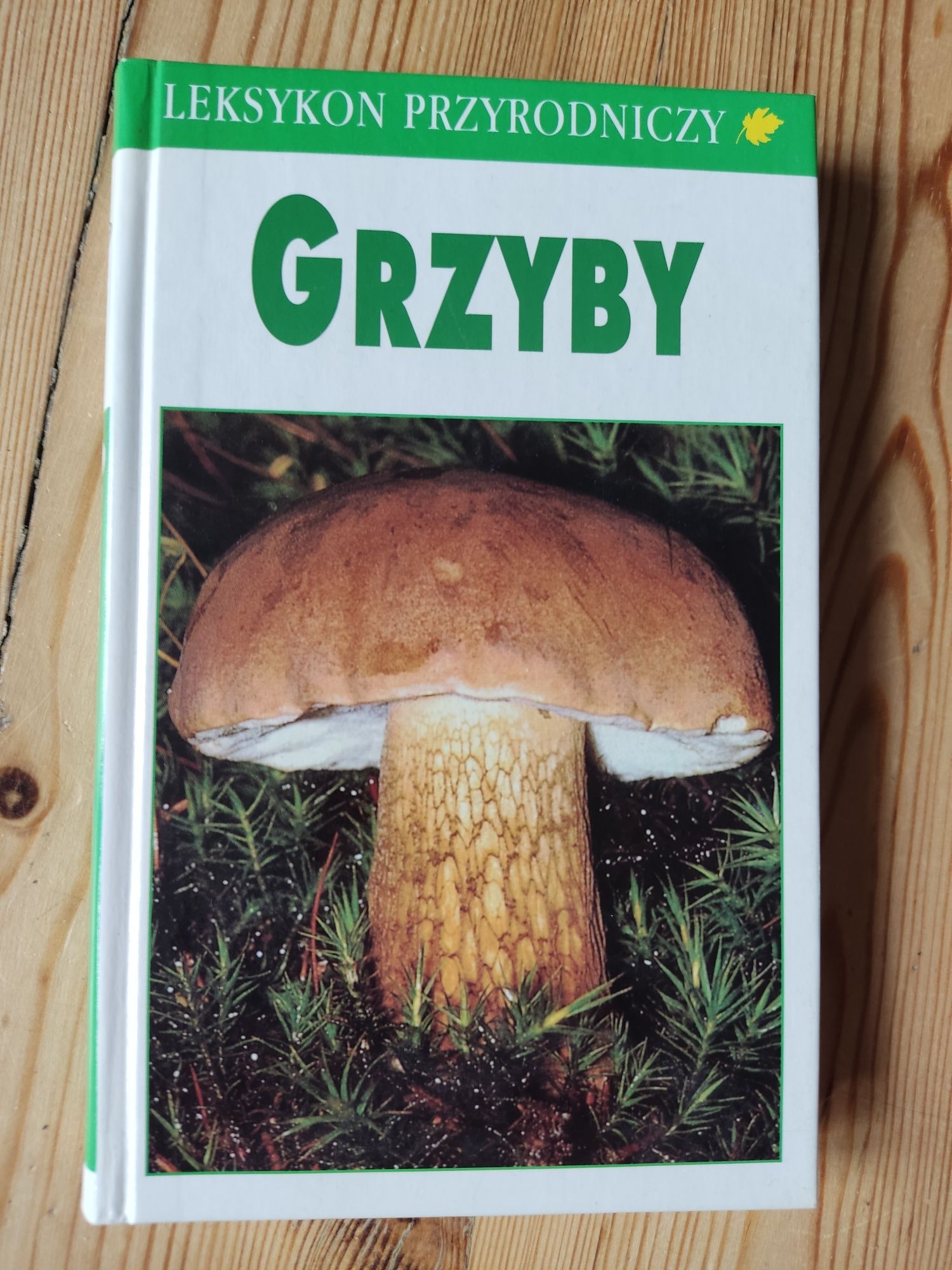 Grzyby leksykon przyrodniczy