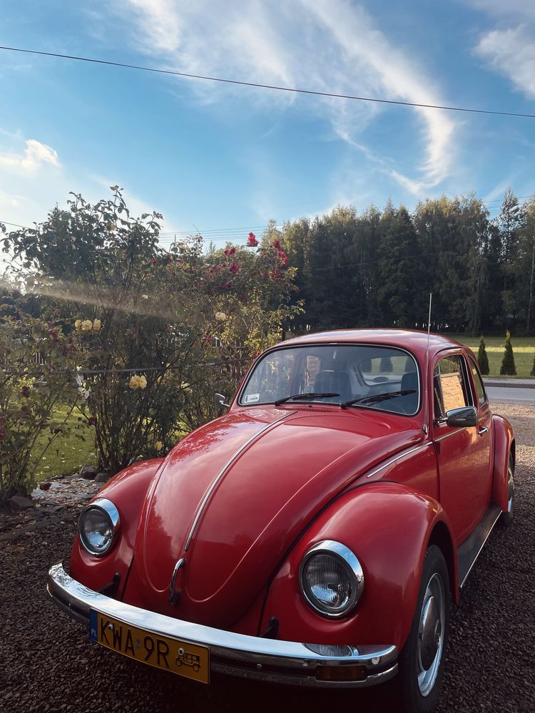 Volkswagen Garbus - auto z charakterem na ślub/sesję zdjeciową