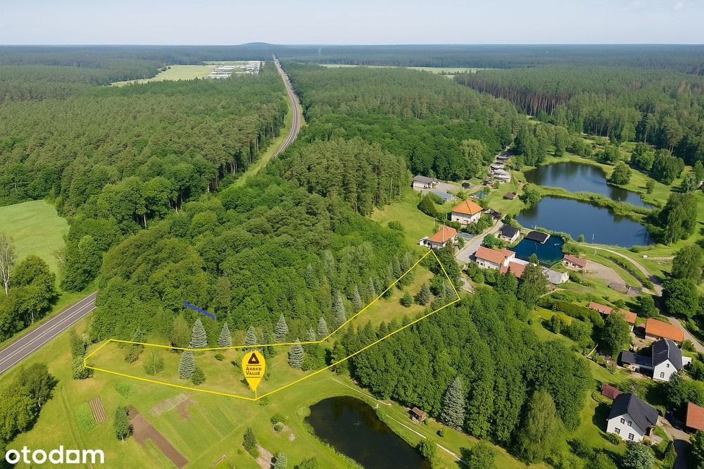 Nowa cena! Leśna Przystań - działka wśród wysokich drzew. Mostki.
