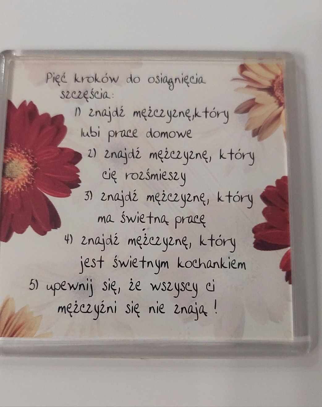 3 magnesy na lodówkę z tworzywa(15)
