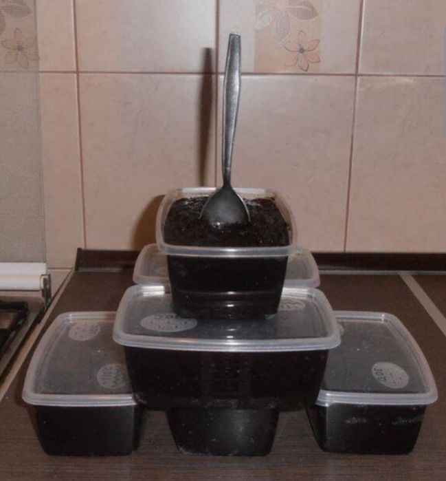 ЛЕКВАР "Смак дитинства" Домашнє сливове варення/повидло без цукру