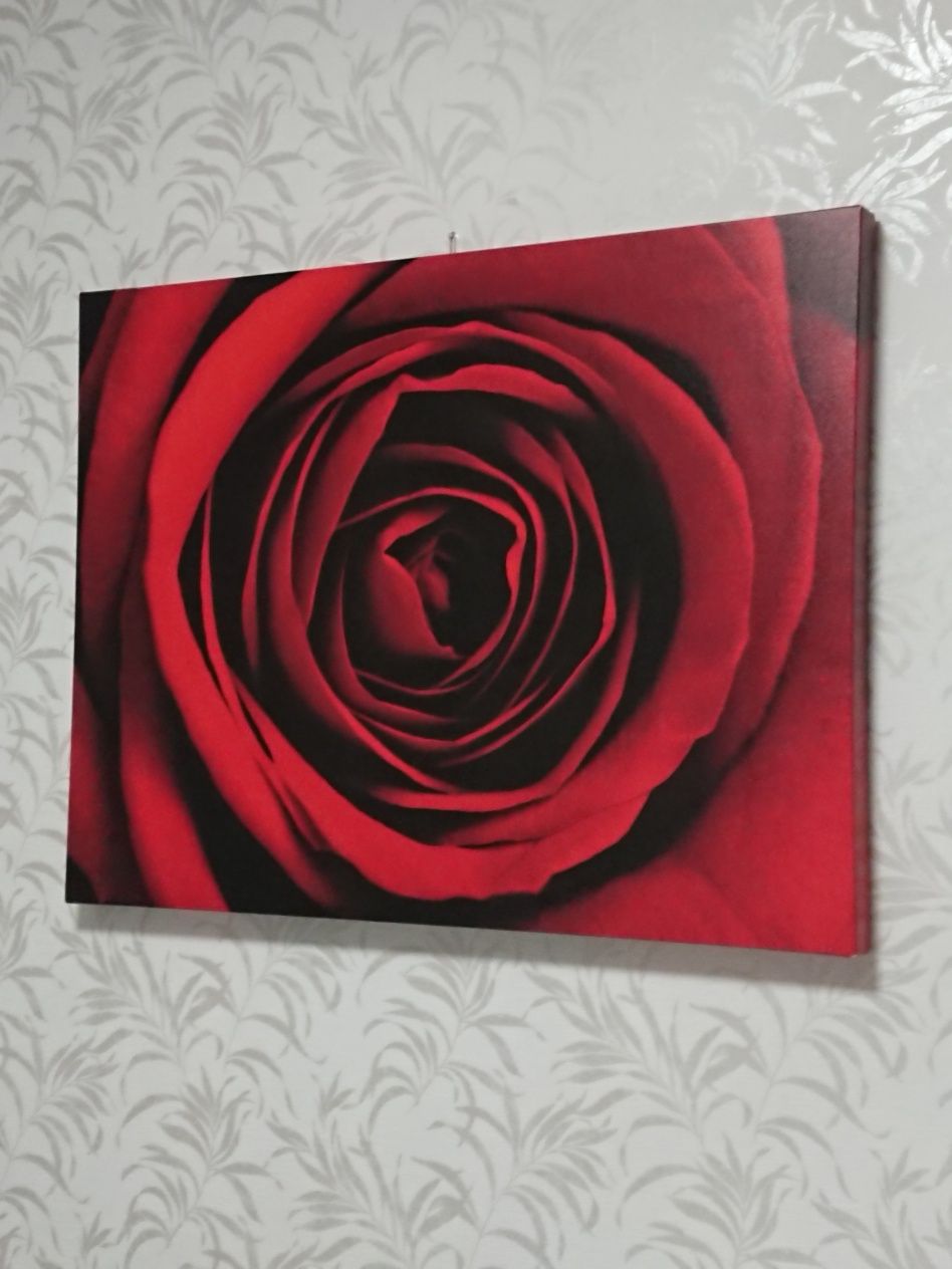 Obraz czerwona róża