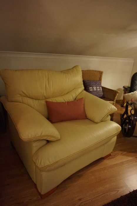 2 Sofás de alta qualidade em pele inglesa anti-fogo, marca J LOURO