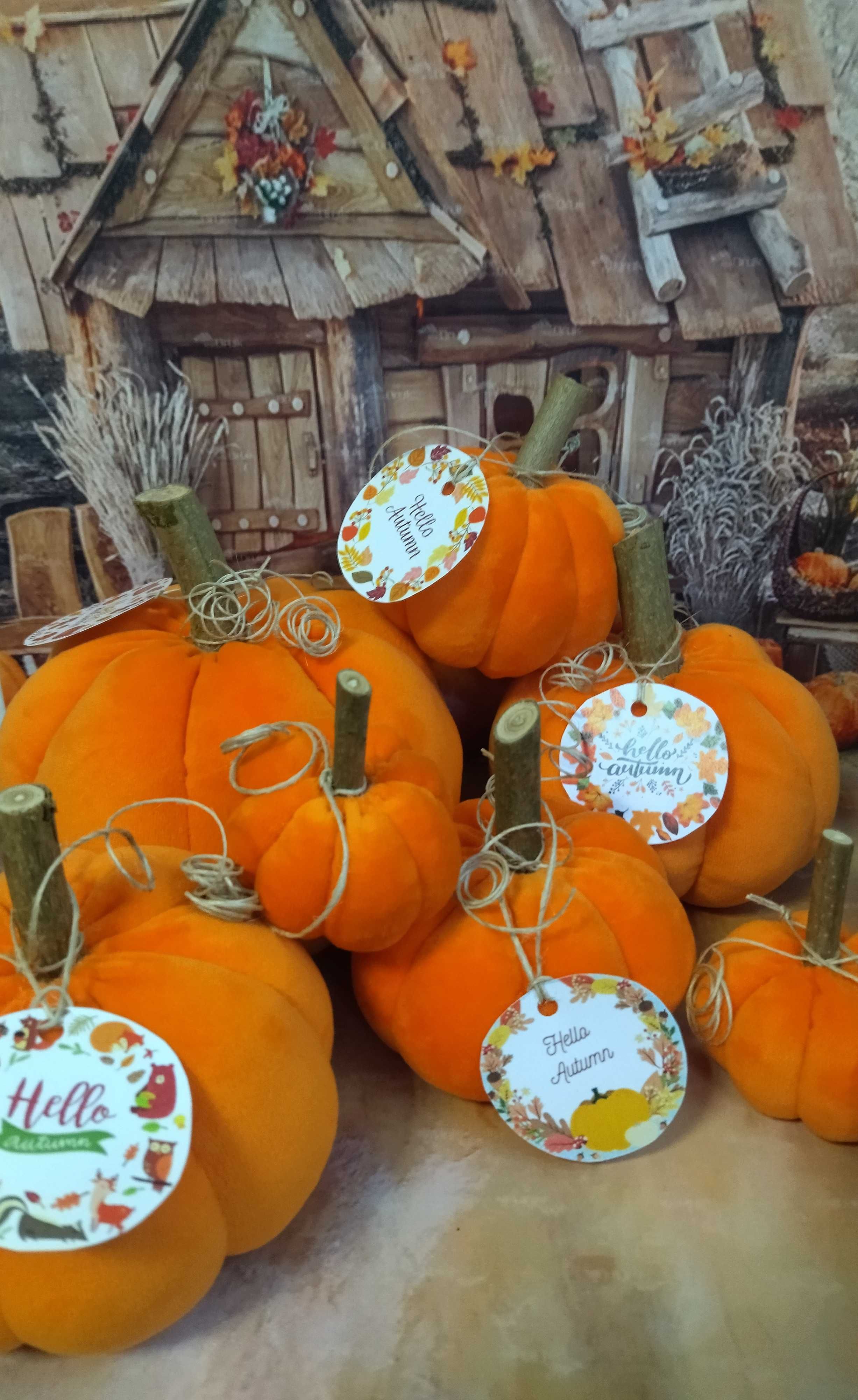 Szyta dynia handmade