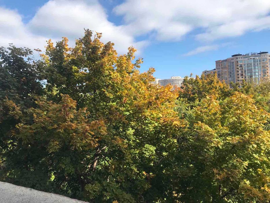 1-кімнатна квартира в престижному ЖК.  Аркадія. Море. Найнижча ціна.