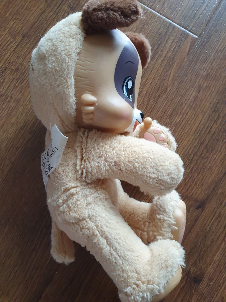 Piesek jasnobrązowy z łapkami i ciemno brązowymi uszami Zoopy Babies