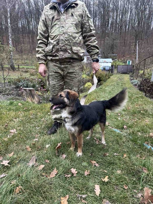Віддам в добрі руки