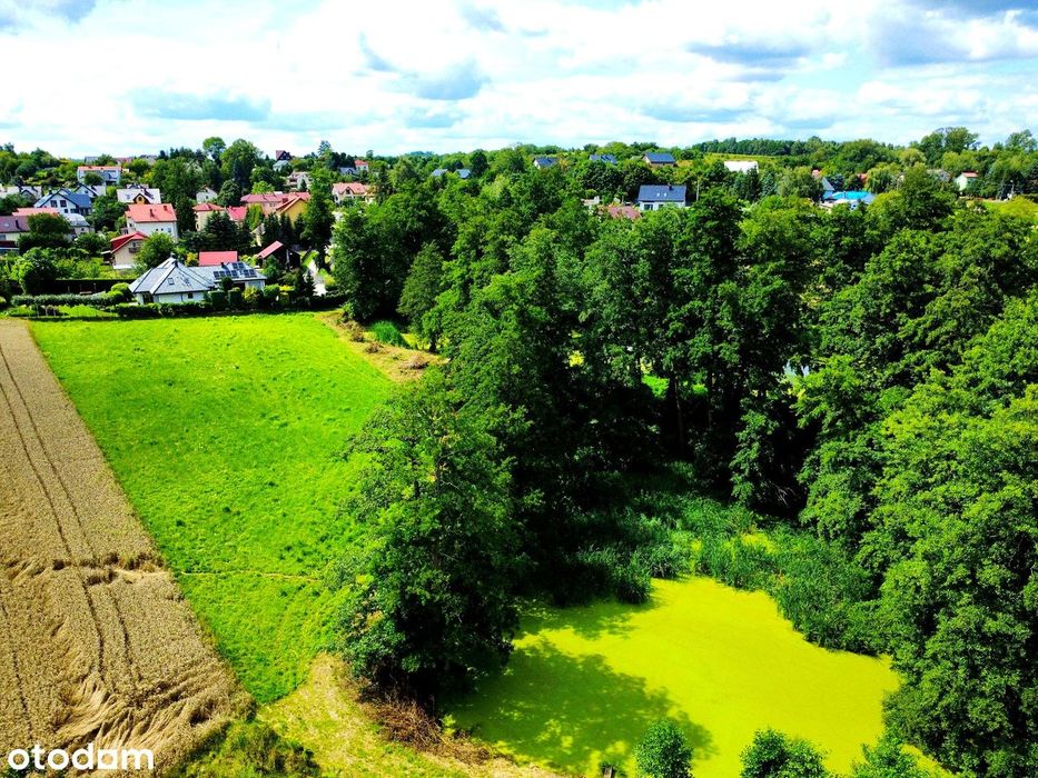 Wyjątkowa działka 81 ar | Przybysławice | staw, zieleń, media, MPZP