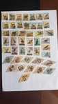 45 Selos Animais - Aves - Outros - Angola + Serpentes da Guiné