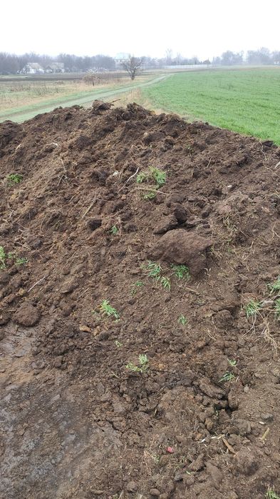 Продаю перегной коровий