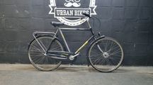 Rower miejski Gazelle Rocca Męski Shimano Nexus 3 61 cm Urban Bikes